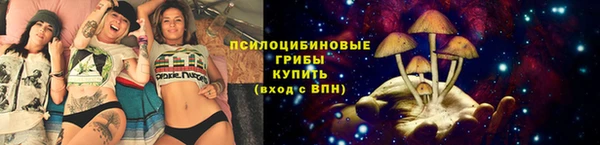 кокс Магас