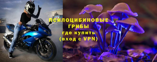 PSILOCYBIN Магадан