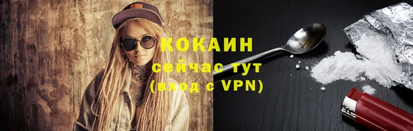 твердый Майский