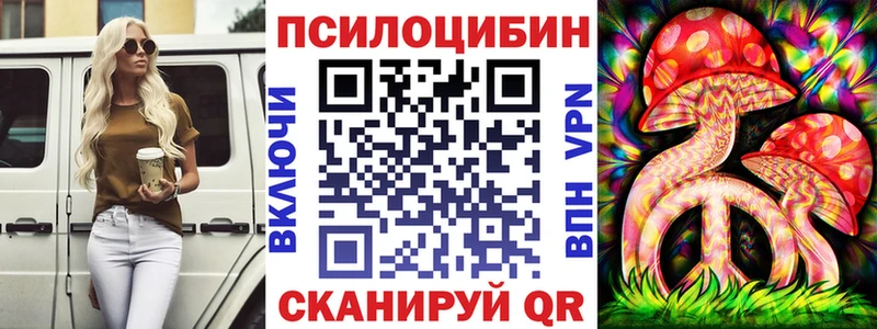 Псилоцибиновые грибы мицелий  ОМГ ОМГ tor  Дербент  купить наркотики цена 