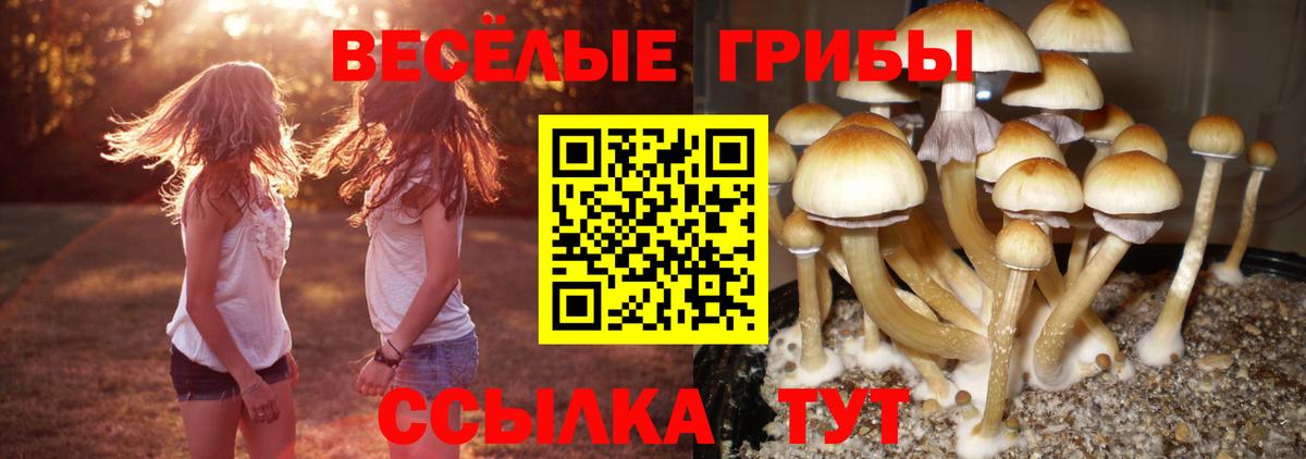наркота  Вход с VPN  Дербент  Псилоцибиновые грибы мицелий  Галлюциногенные грибы мухоморы 